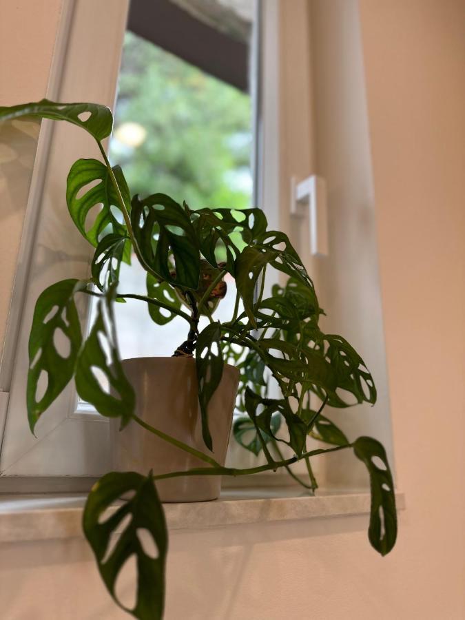 Olive View Apartment Brela Dış mekan fotoğraf