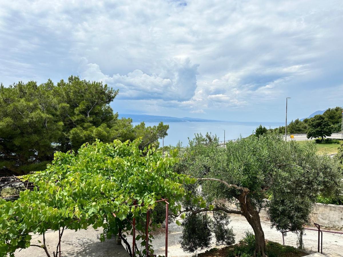 Olive View Apartment Brela Dış mekan fotoğraf