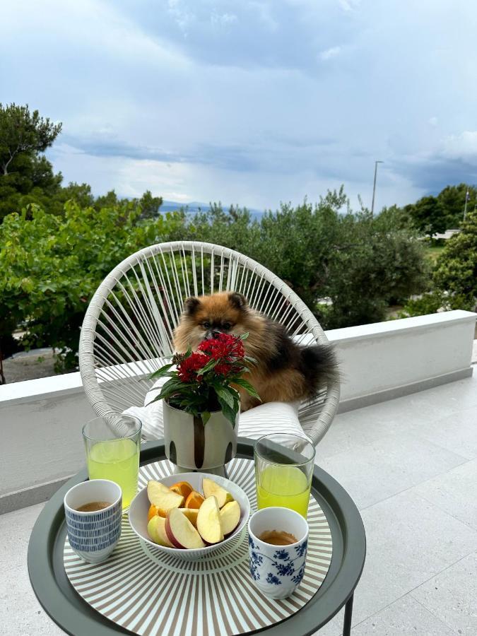 Olive View Apartment Brela Dış mekan fotoğraf